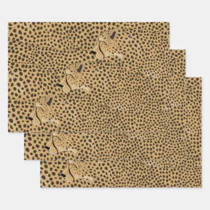 Cheetahs enveloppant des feuilles de papier