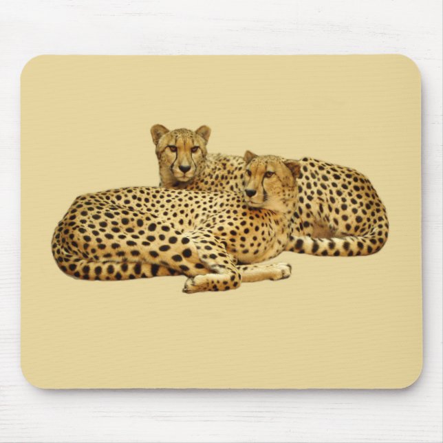 Cheetahs Mousepad (Vorne)