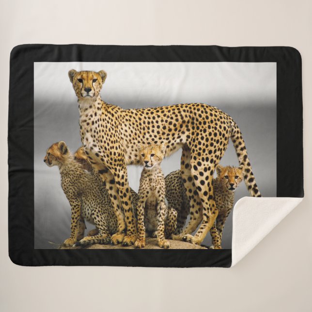 Cheetahs Sherpadecke (Vorderseite (Horizontal))