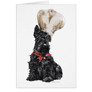Chef écossais Terrier