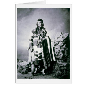Chef Joseph (1840-1904) c.1880 (b/w photo)