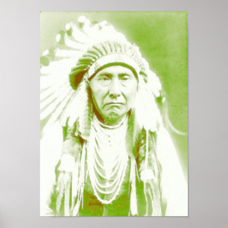 Chef Joseph Native American Leader Poster