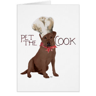 Chef Labrador Retriever Chocolat