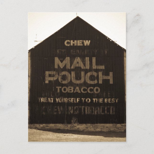 Chef Mail Pouch Tobacco Barn - Sepia beendet Postkarte (Vorderseite)