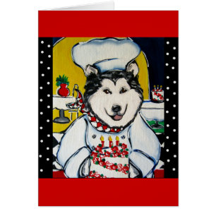 Chef Malamute d'Alaska