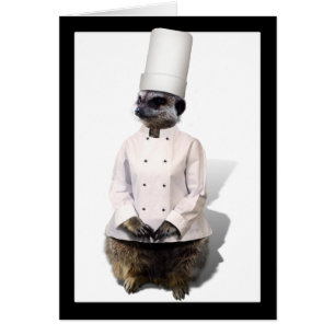 Chef Meerkat