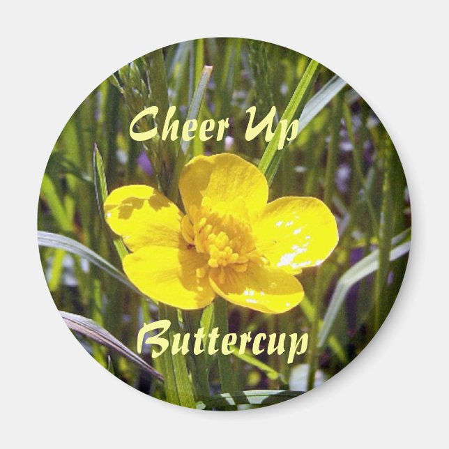 Chef Up Buttercup Magnet (Vorne)