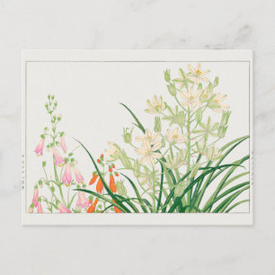 Chelone barbata, Ornithogalum von Tanigami Konan Postkarte