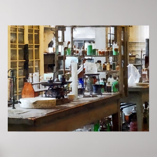 Chem Labrador Poster (Vorne)
