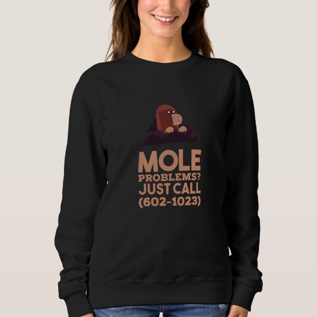Chemie - Probleme mit dem Löwenanteil Sweatshirt (Vorderseite)