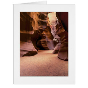 "Chemin à travers le temps "