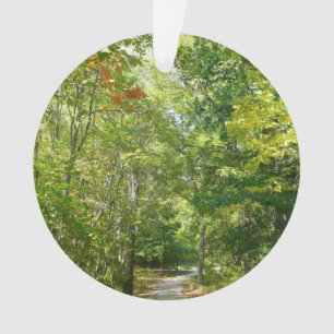 Chemin boisé centenaire I Ellicott City Nature