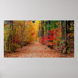 Chemin d'automne, impression