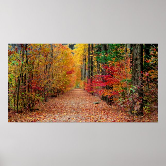 Chemin d'automne, impression (Devant)