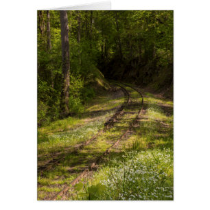 Chemin de fer abandonné dans une forêt
