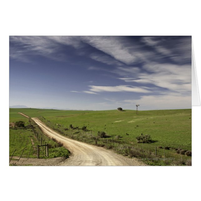 Chemin de ferme en lacets entre les champs de blé, (Devant horizontal)