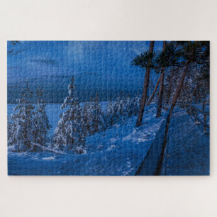Chemin de la forêt la nuit d'hiver puzzle