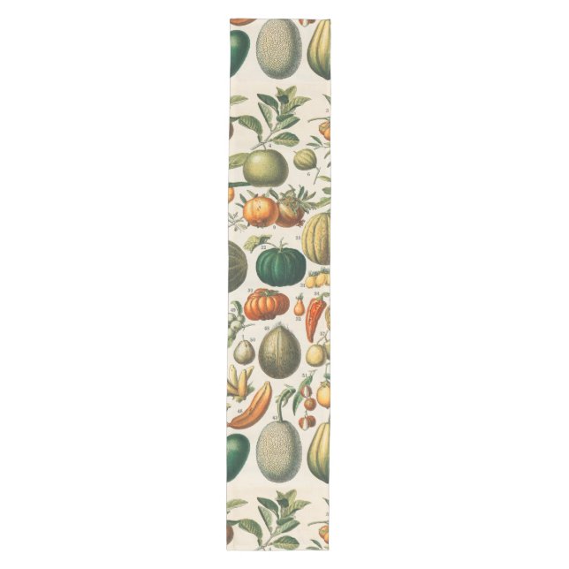 Chemin De Table Moyen Illustration scientifique végétale des fruits (Devant)