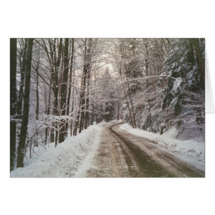 Chemin de terre d'hiver