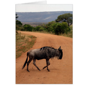 chemin wildebeest