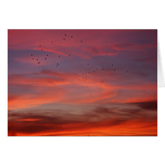Chemische Himmel 6