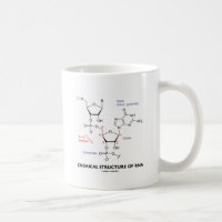 Chemische Struktur von RNS (molekulare Struktur)