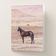 Cheval du désert P8664