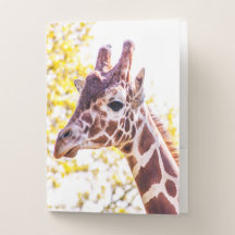 Portrait de Giraffe