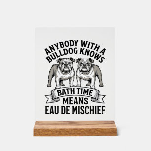 Chemise Humour Bouledogue Citation Fun Amusante de
