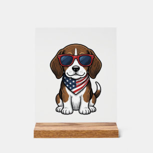 Chemise lunettes de soleil pour chiot Beagle patri