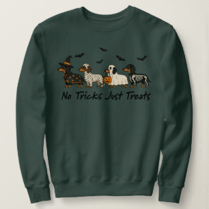 Chemise sweatshirt pour chien saucisse No Tricks J