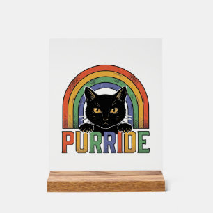 Chemise Vintage Purride Chat Noir Arc-en-Ciel Desi