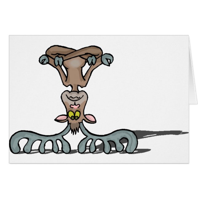 Chemises et cadeaux 47 d'orignaux (Devant horizontal)