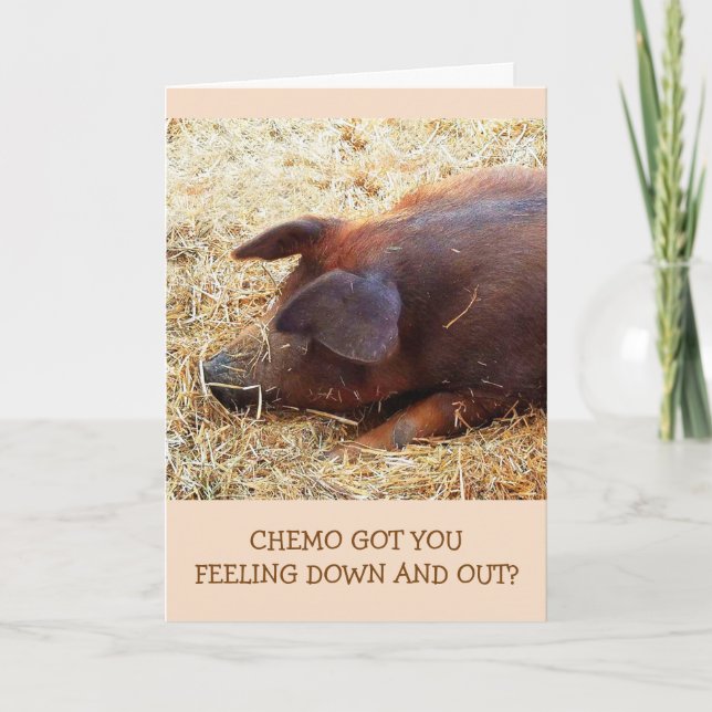 Chemo Ermutigung Funny Pig Card Karte (Vorderseite)