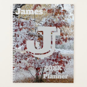Chêne couvert de neige, paysage d'automne / hiver