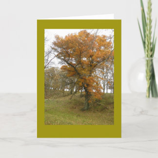 Chêne de bord de la route en automne sur la carte