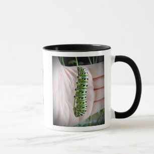 Chenille/Papillon de Papilio noir - mug