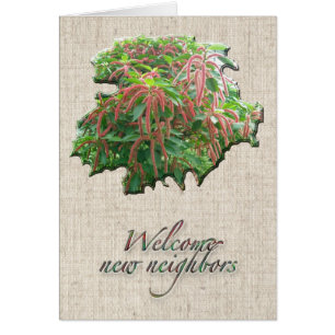 Chenille Plante Bienvenue Carte Voisine