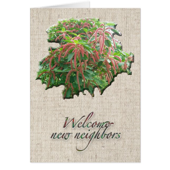 Chenille Plante Bienvenue Carte Voisine (Devant)