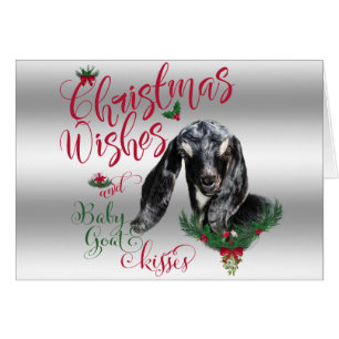 CHÈQUE   Noël Voeux Bébé Chèvre Baisers Nubian