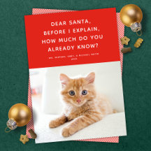 Cher Père Noël mignon drôle animal de Carte photo