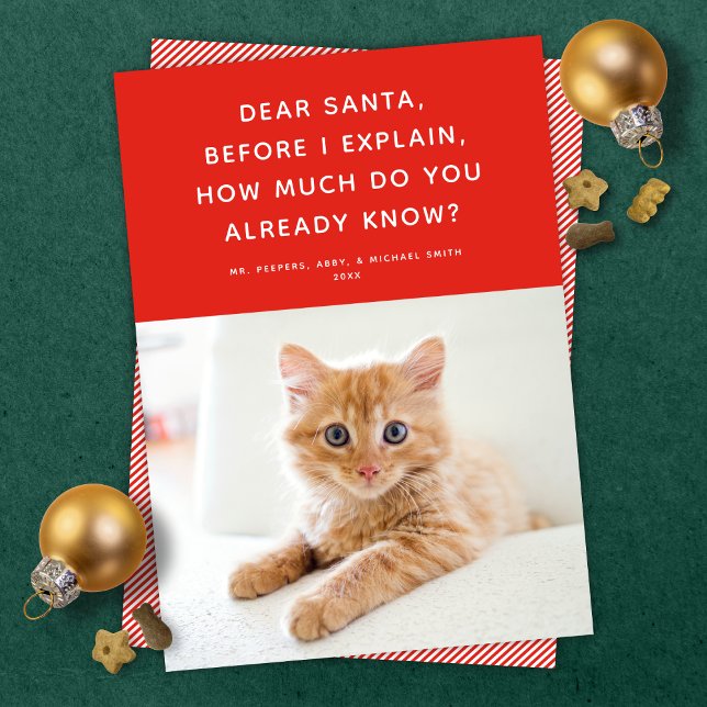 Cher Père Noël mignon drôle animal de Carte photo  (Créateur téléchargé)