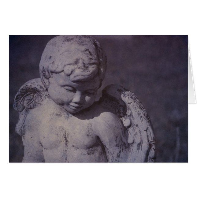 Cherish (Vorderseite (Horizontal))