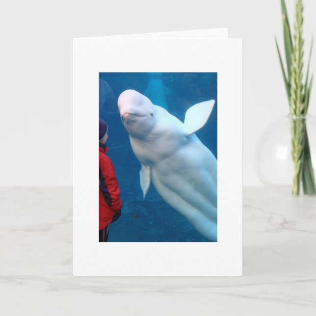 Cherish the Magical Karte (Vorderseite)