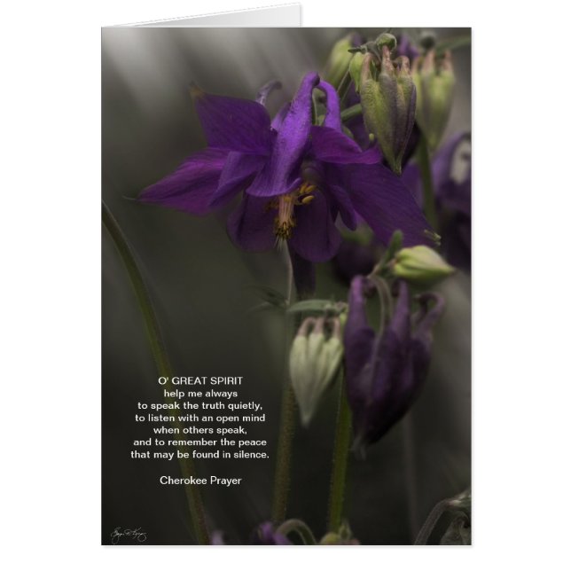 Cherokee Gebet, Kolumine im Sonnenlicht (Vorne)