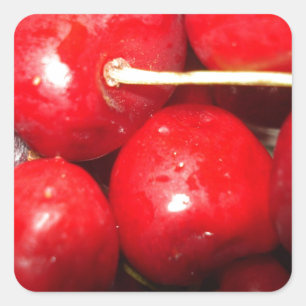 Cherries Art Foto Quadratischer Aufkleber