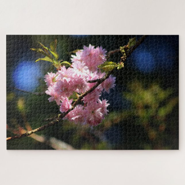 Cherry Blossom (Horizontal)