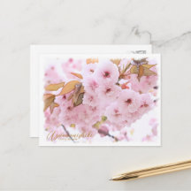 Cherry Blossom "Azuma-nishiki" ポストカード