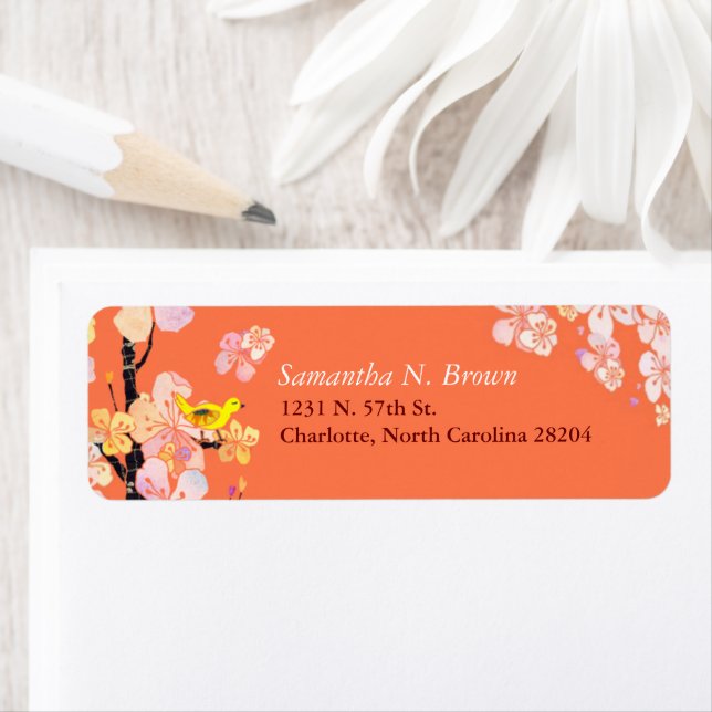 Cherry Blossom Bird Orange-Adresse (Insitu)