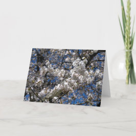 Cherry Blossom Blank notecard Karte